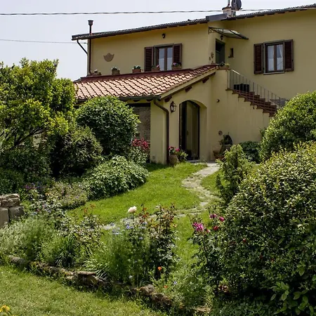 Porcigliano Olive Grove