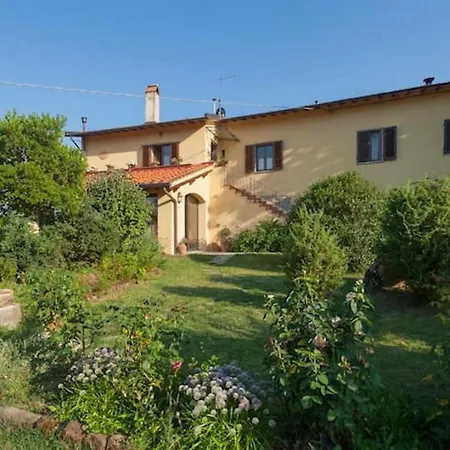 Porcigliano Olive Grove *