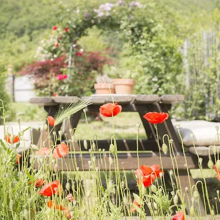 Holiday home Porcigliano Olive Grove *