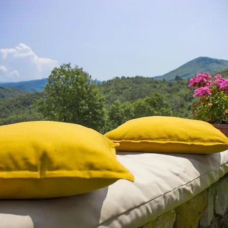 Holiday home Porcigliano Olive Grove Polcanto