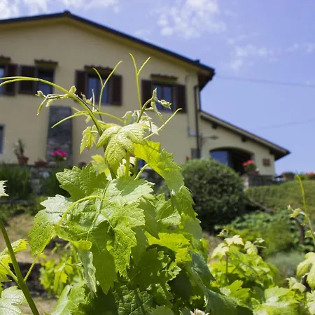 Porcigliano Olive Grove Polcanto
