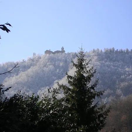 Porcigliano Olive Grove * Polcanto