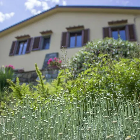 Porcigliano Olive Grove Holiday home *