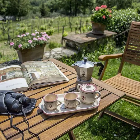 Porcigliano Olive Grove Holiday home *