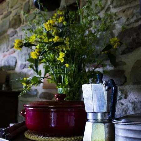 Porcigliano Olive Grove *