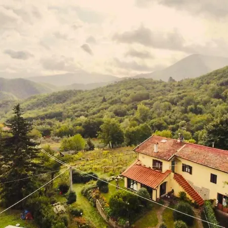 Porcigliano Olive Grove *