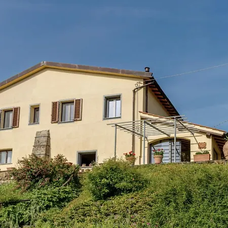 Porcigliano Olive Grove