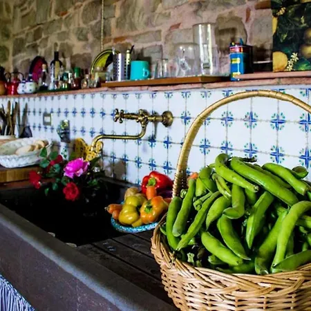 Porcigliano Olive Grove Holiday home Polcanto