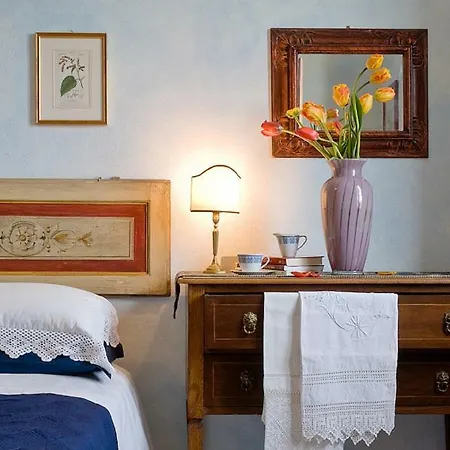 Holiday home Porcigliano Olive Grove Polcanto