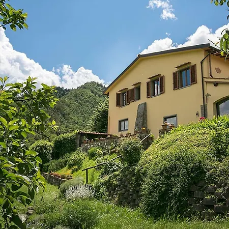 Porcigliano Olive Grove Polcanto