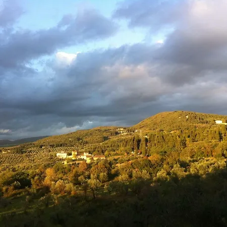 Porcigliano Olive Grove Polcanto