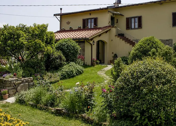 Porcigliano Olive Grove