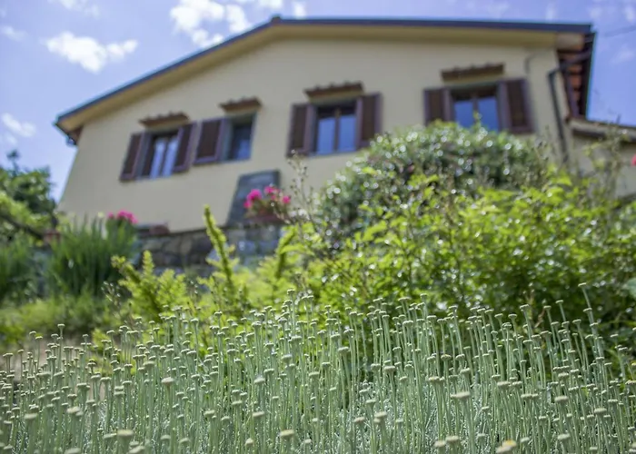 Porcigliano Olive Grove 펜션 *