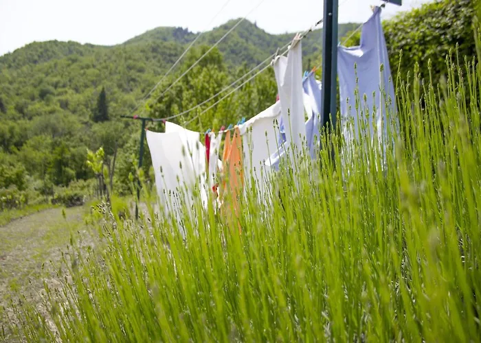 펜션 Porcigliano Olive Grove