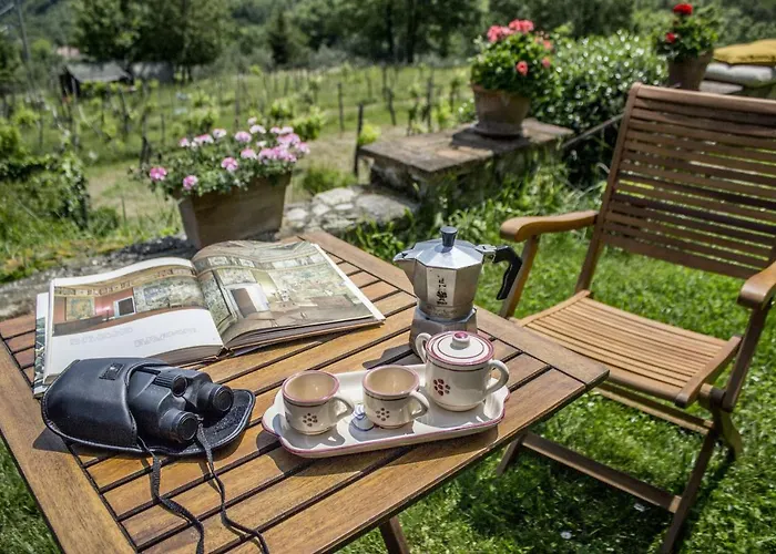 Porcigliano Olive Grove 펜션 *