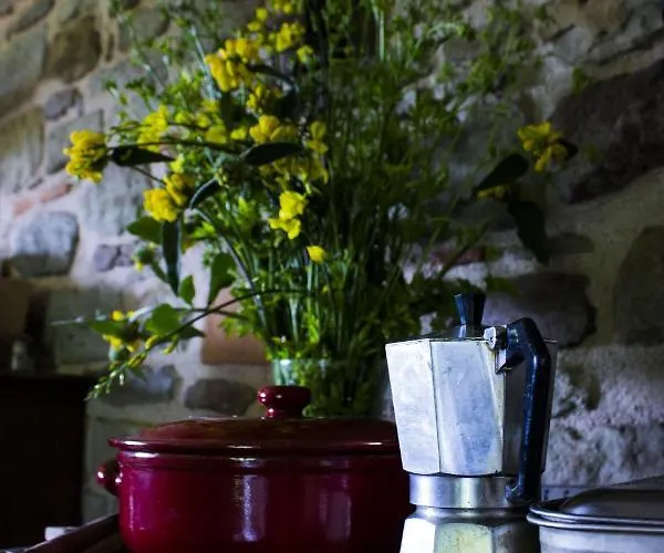 Porcigliano Olive Grove *