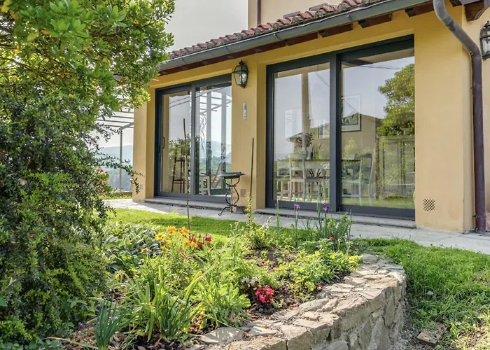 Porcigliano Olive Grove *