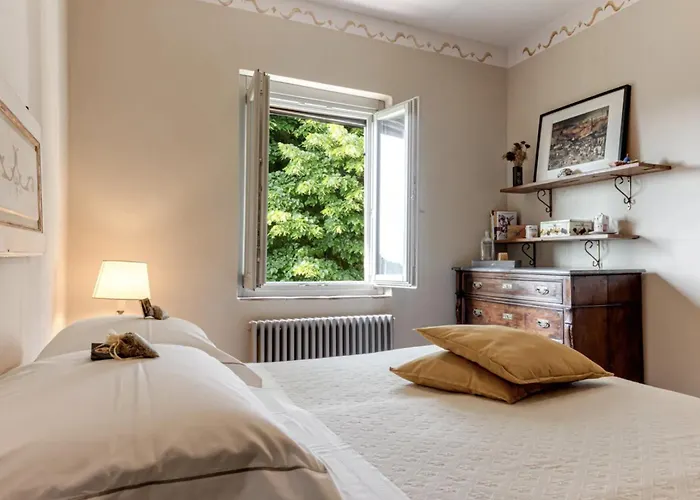 Porcigliano Olive Grove Polcanto