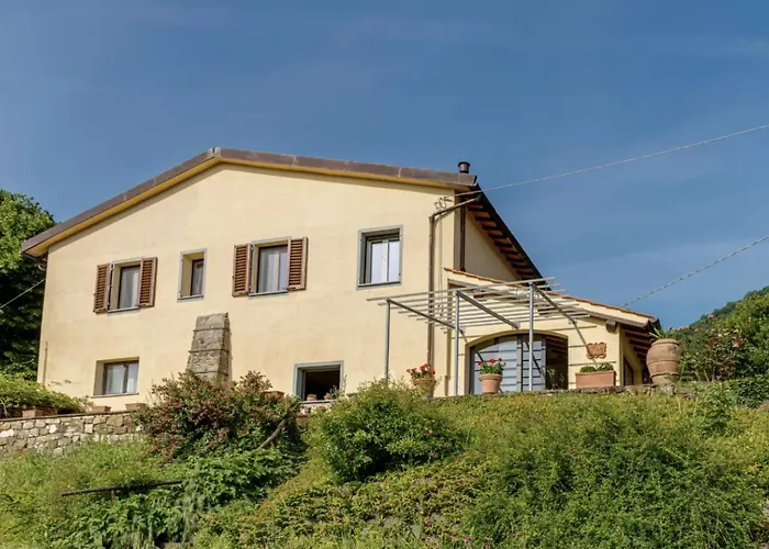 Porcigliano Olive Grove