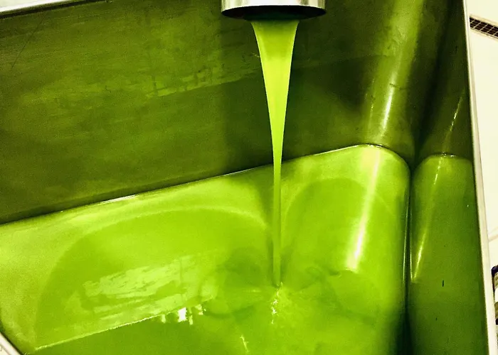 펜션 Porcigliano Olive Grove