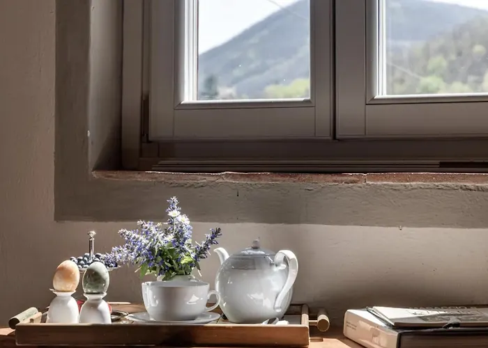 Porcigliano Olive Grove 펜션 *