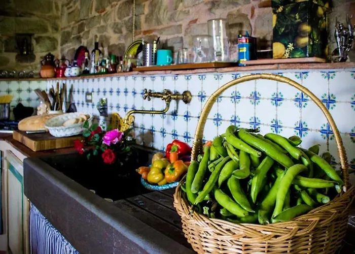 Porcigliano Olive Grove 펜션 Polcanto