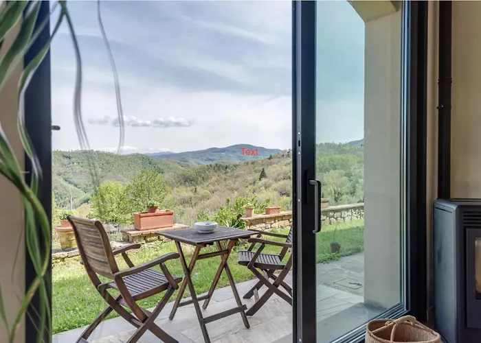 Porcigliano Olive Grove *