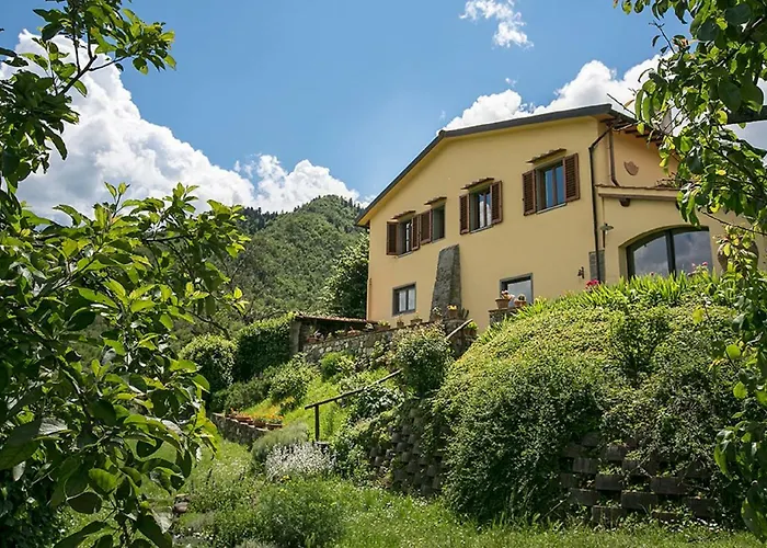 Porcigliano Olive Grove Polcanto