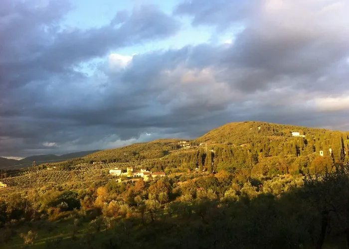Porcigliano Olive Grove Polcanto