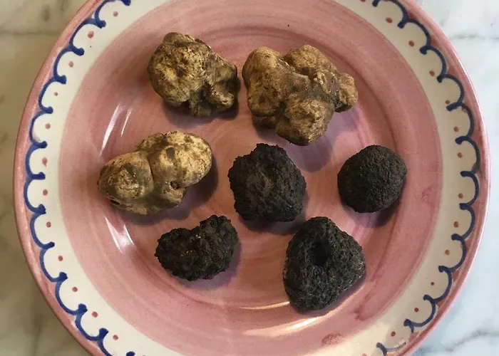 Porcigliano Olive Grove Polcanto